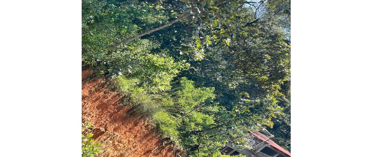 Foto de terreno habitacional en , valle de bravo, valle de bravo, méxico, 0 foto 02 Foto de terreno habitacional en venta en , valle de bravo, valle de bravo, méxico, 0 No. 02