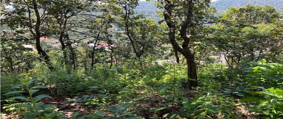 Foto de terreno habitacional en , valle de bravo, valle de bravo, méxico, 0 foto 04 Foto de terreno habitacional en venta en , valle de bravo, valle de bravo, méxico, 0 No. 04