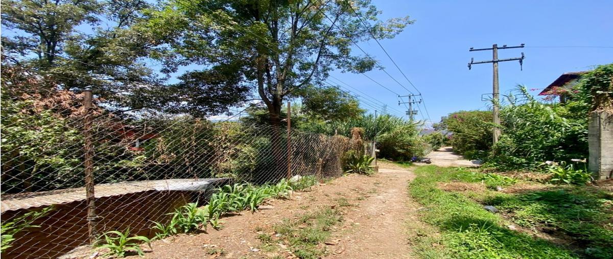 Foto de terreno habitacional en venta en  , valle de bravo, valle de bravo, méxico, 28463457 No. 03