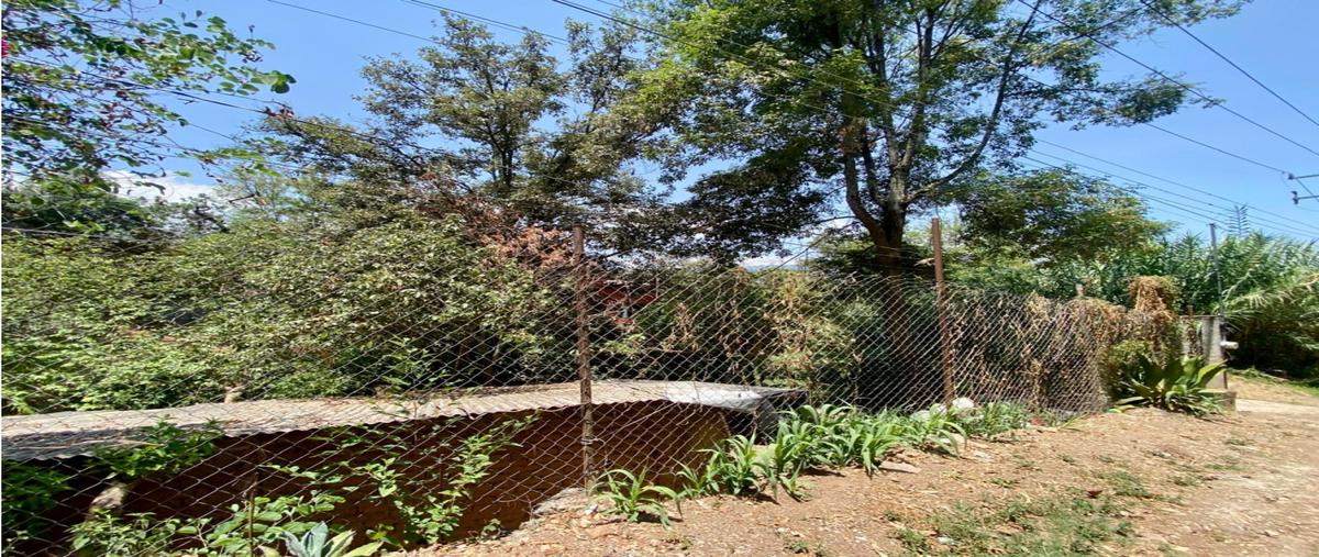 Foto de terreno habitacional en venta en  , valle de bravo, valle de bravo, méxico, 28463457 No. 04