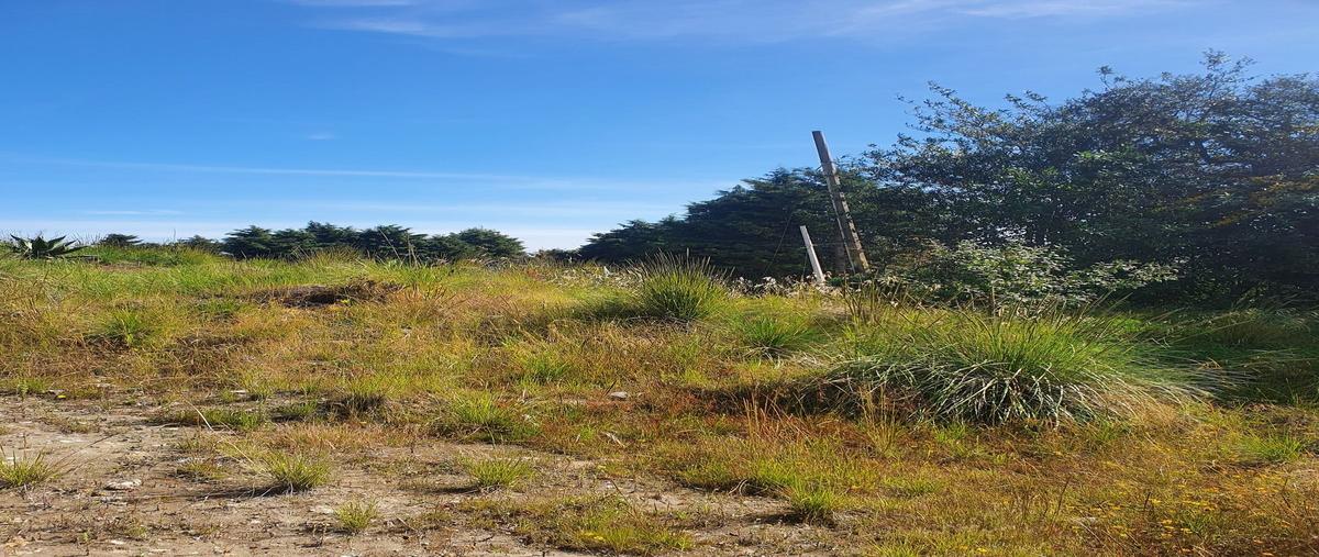 Foto de terreno habitacional en venta en  , valle de bravo, valle de bravo, méxico, 0 No. 05