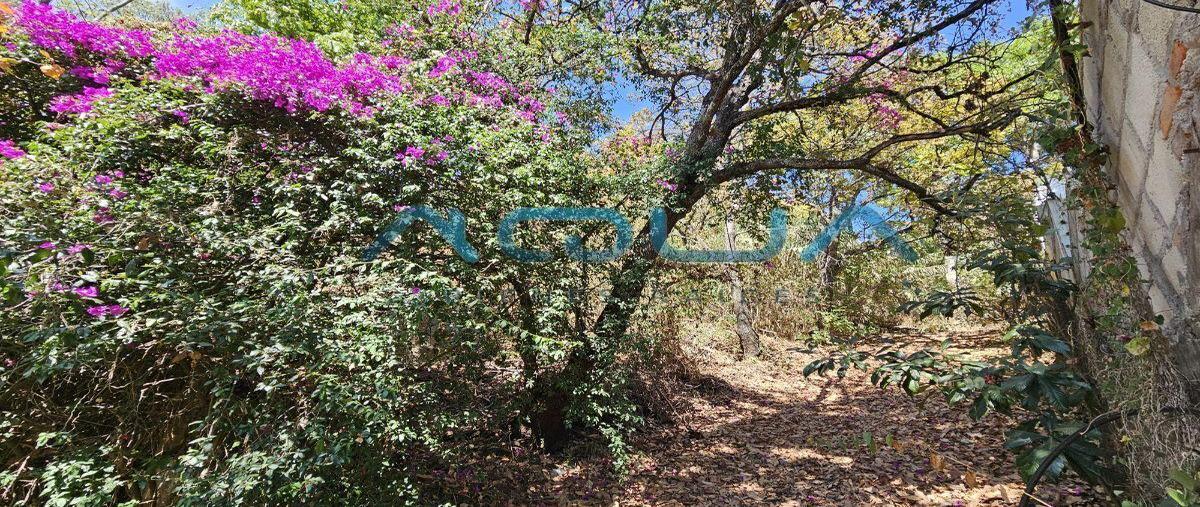 Foto de terreno habitacional en venta en  , valle de bravo, valle de bravo, méxico, 0 No. 04
