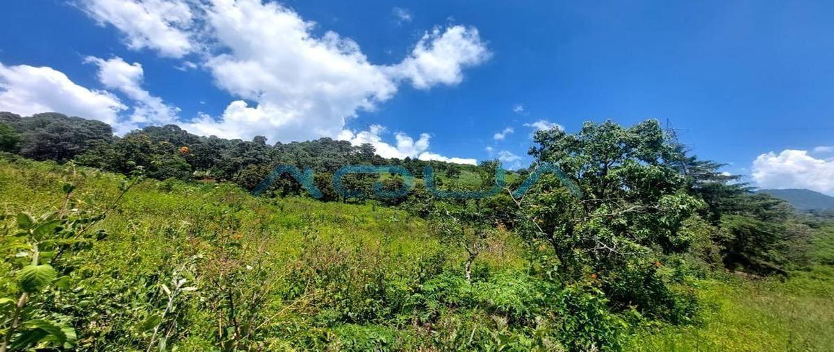 Foto de terreno habitacional en venta en  , valle de bravo, valle de bravo, méxico, 0 No. 03