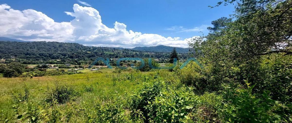 Foto de terreno habitacional en venta en  , valle de bravo, valle de bravo, méxico, 0 No. 05