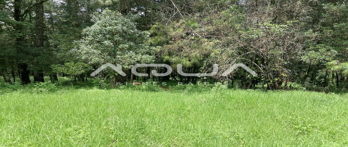 Foto de terreno habitacional en venta en  , valle de bravo, valle de bravo, méxico, 0 No. 03