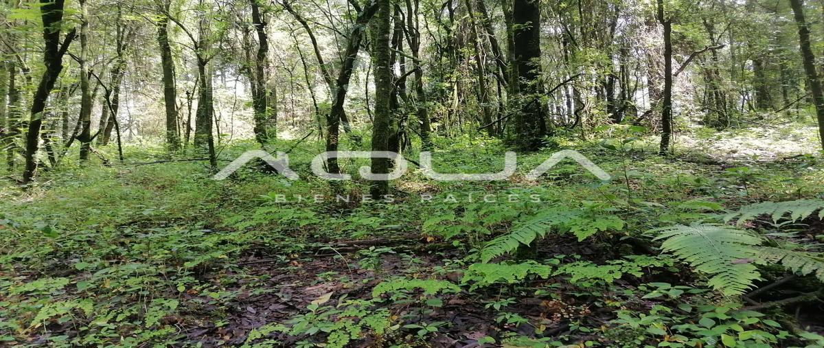 Foto de terreno habitacional en venta en  , valle de bravo, valle de bravo, méxico, 0 No. 04