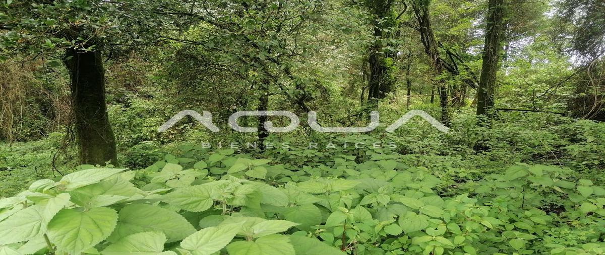 Foto de terreno habitacional en venta en  , valle de bravo, valle de bravo, méxico, 0 No. 05
