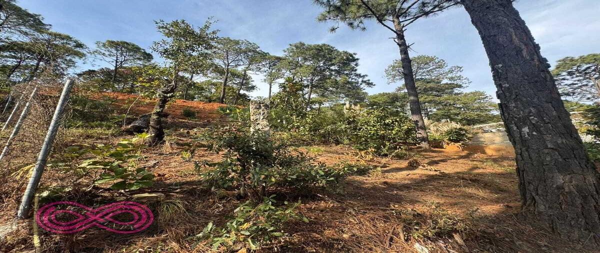 Foto de terreno habitacional en venta en  , valle de bravo, valle de bravo, méxico, 0 No. 03