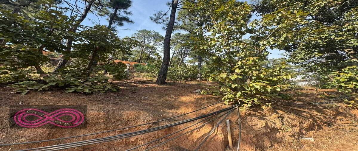 Foto de terreno habitacional en venta en  , valle de bravo, valle de bravo, méxico, 0 No. 04