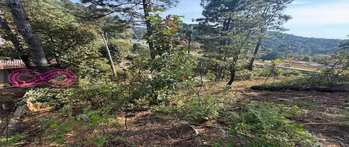 Foto de terreno habitacional en venta en  , valle de bravo, valle de bravo, méxico, 0 No. 05