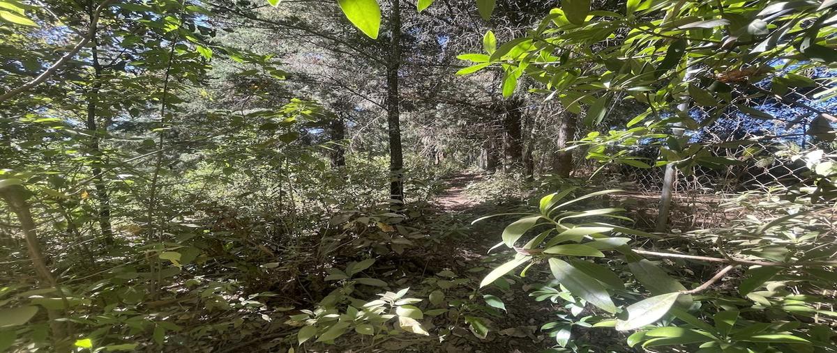 Foto de terreno habitacional en venta en  , valle de bravo, valle de bravo, méxico, 0 No. 04