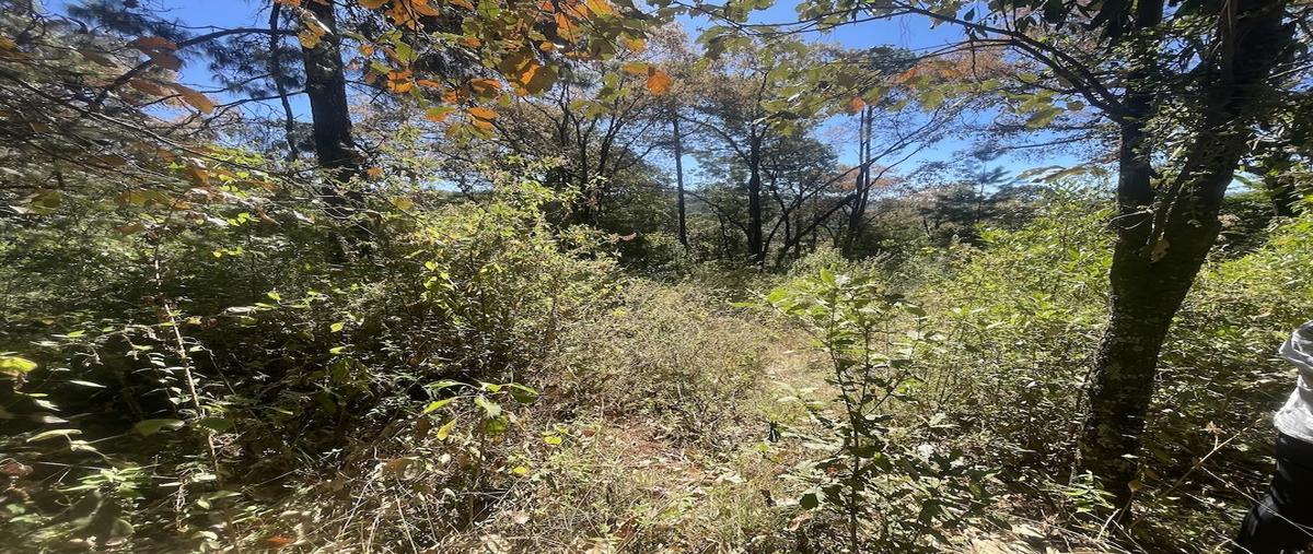 Foto de terreno habitacional en venta en  , valle de bravo, valle de bravo, méxico, 0 No. 05