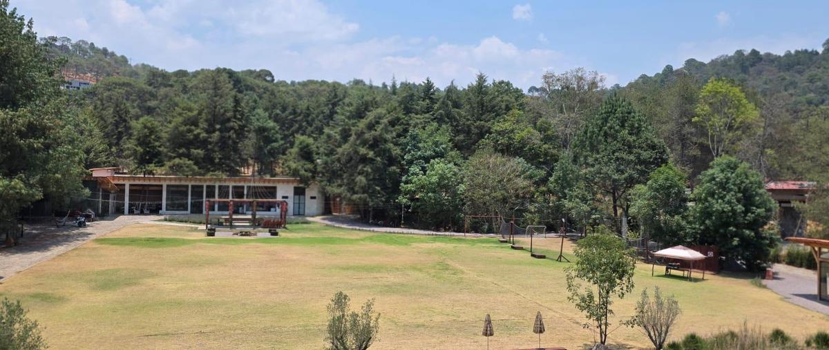 Foto de rancho en , valle de bravo, valle de bravo, méxico, 29817224 foto 03 Foto de rancho en venta en , valle de bravo, valle de bravo, méxico, 29817224 No. 03