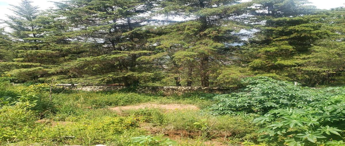 Foto de terreno habitacional en , valle de bravo, valle de bravo, méxico, 0 foto 02 Foto de terreno habitacional en venta en , valle de bravo, valle de bravo, méxico, 0 No. 02