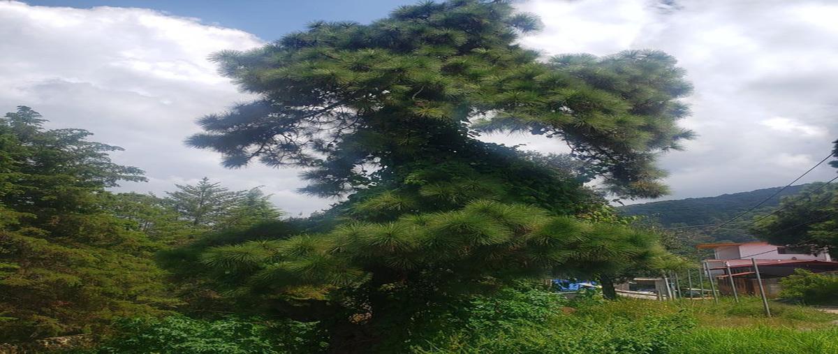 Foto de terreno habitacional en , valle de bravo, valle de bravo, méxico, 0 foto 04 Foto de terreno habitacional en venta en , valle de bravo, valle de bravo, méxico, 0 No. 04
