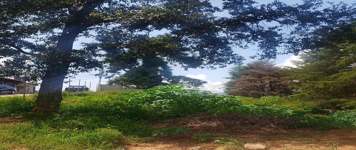 Foto de terreno habitacional en , valle de bravo, valle de bravo, méxico, 0 foto 01 Foto de terreno habitacional en venta en , valle de bravo, valle de bravo, méxico, 0 No. 01