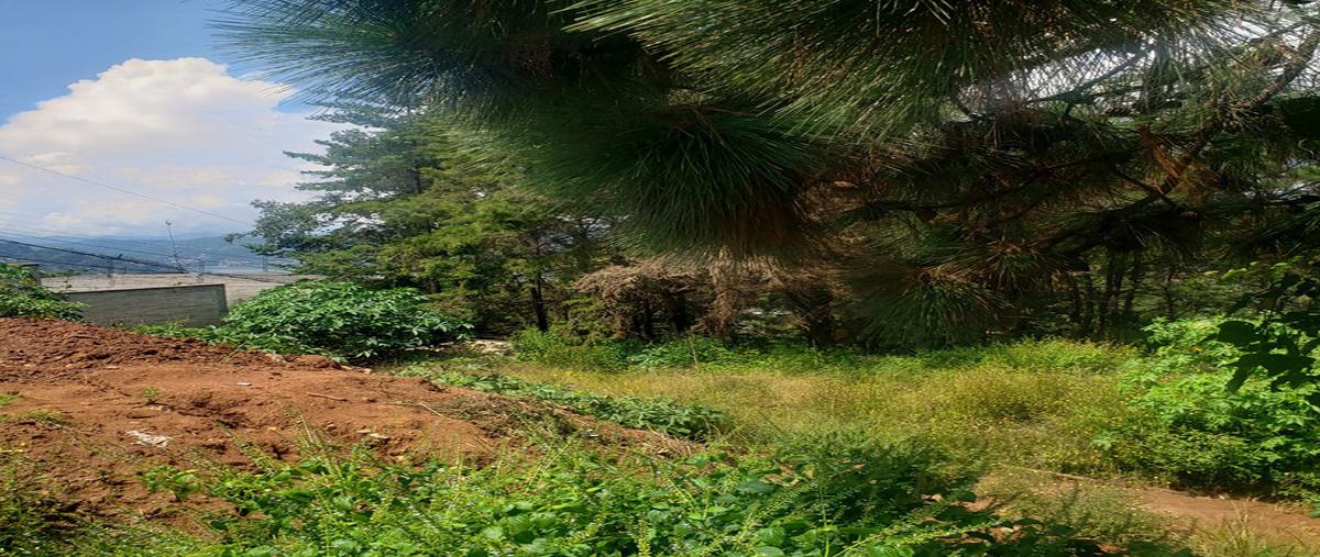 Foto de terreno habitacional en , valle de bravo, valle de bravo, méxico, 0 foto 05 Foto de terreno habitacional en venta en , valle de bravo, valle de bravo, méxico, 0 No. 05