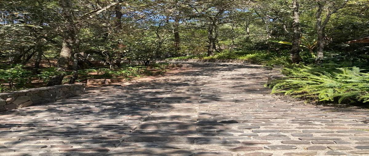Foto de casa en venta en  , valle de bravo, valle de bravo, méxico, 30208919 No. 03