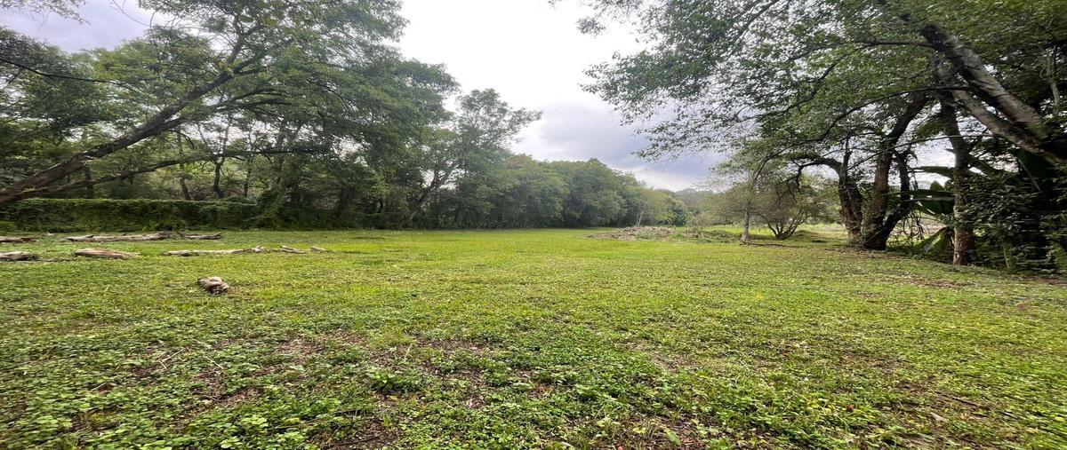 Foto de terreno habitacional en venta en  , valle de bravo, valle de bravo, méxico, 30349917 No. 03