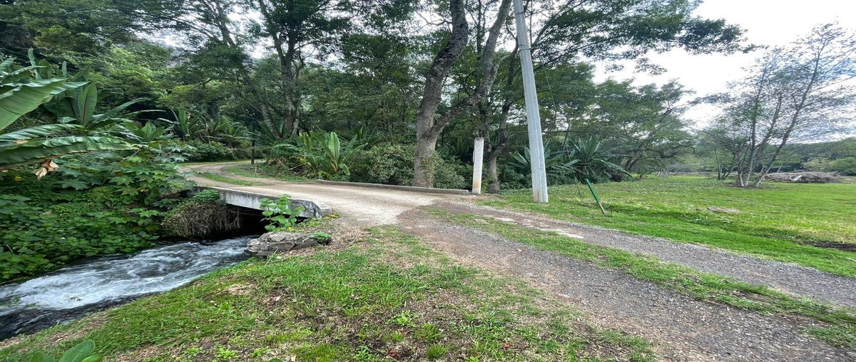 Foto de terreno habitacional en venta en  , valle de bravo, valle de bravo, méxico, 30349917 No. 04