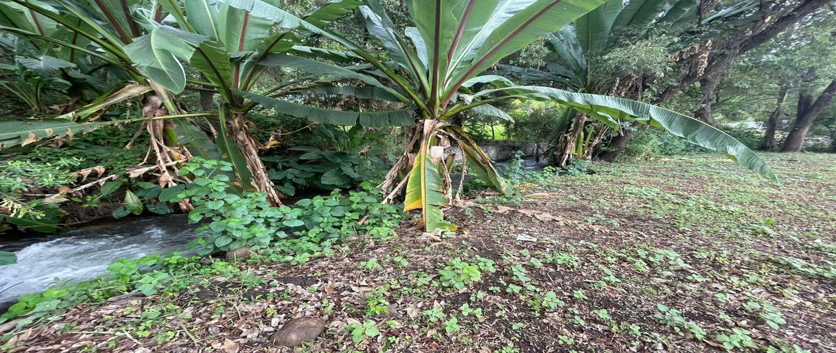 Foto de terreno habitacional en venta en  , valle de bravo, valle de bravo, méxico, 30349917 No. 05