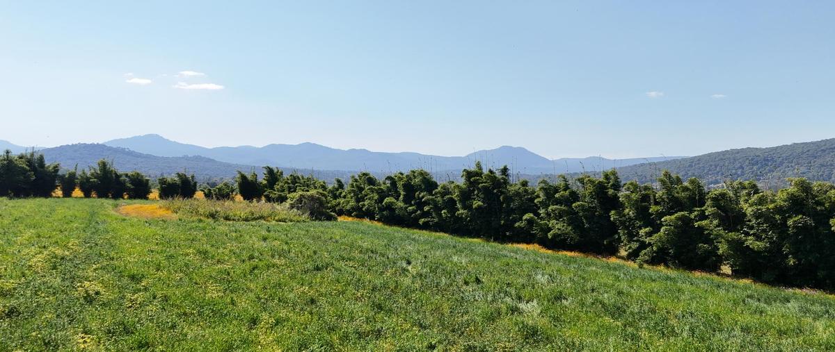 Foto de terreno habitacional en venta en  , valle de bravo, valle de bravo, méxico, 0 No. 03