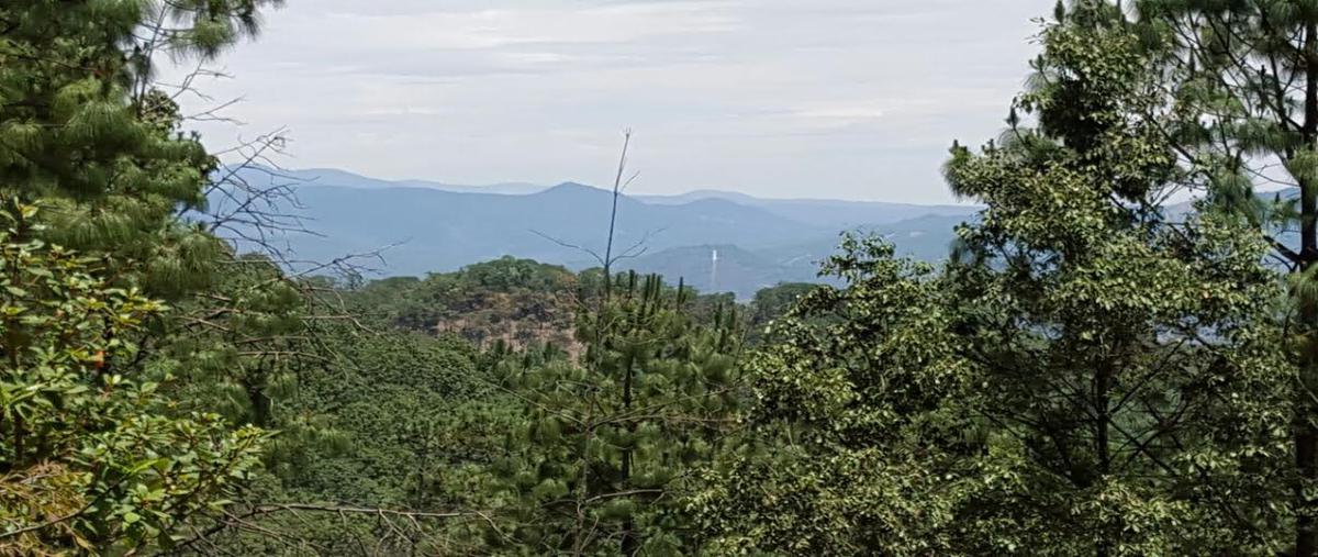Foto de terreno habitacional en venta en valle de bravo , valle de bravo, valle de bravo, méxico, 5723509 No. 04
