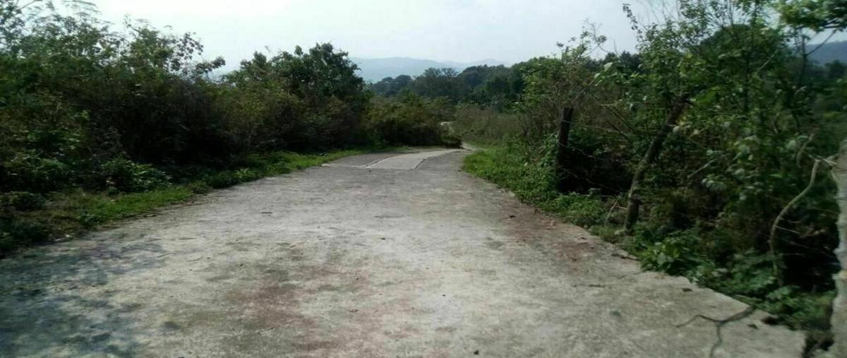 Foto de terreno habitacional en venta en valle de bravoméx. , atesquelites, valle de bravo, méxico, 21133192 No. 03