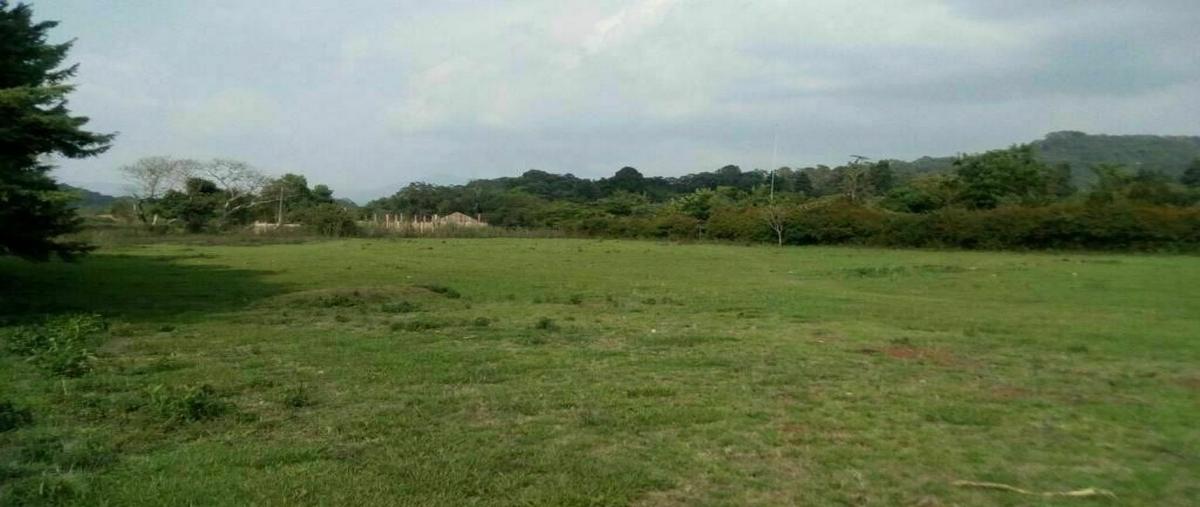 Foto de terreno habitacional en venta en valle de bravoméx. , atesquelites, valle de bravo, méxico, 21133192 No. 04