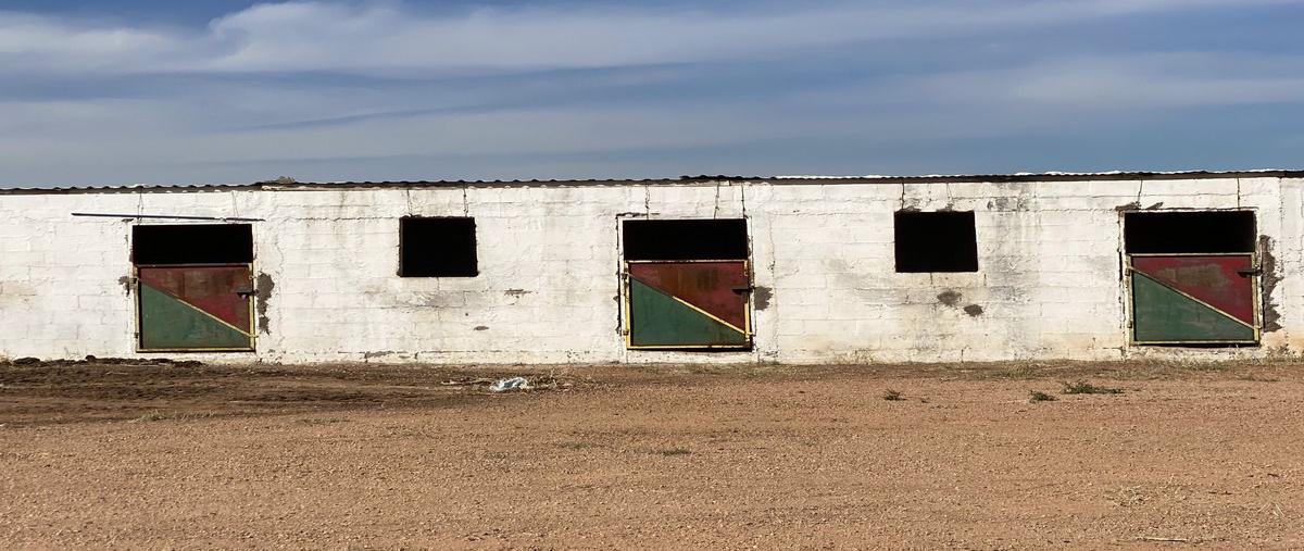 Foto de rancho en venta en valle de chihuahua , granjas familiares valle de chihuahua, chihuahua, chihuahua, 26016394 No. 05