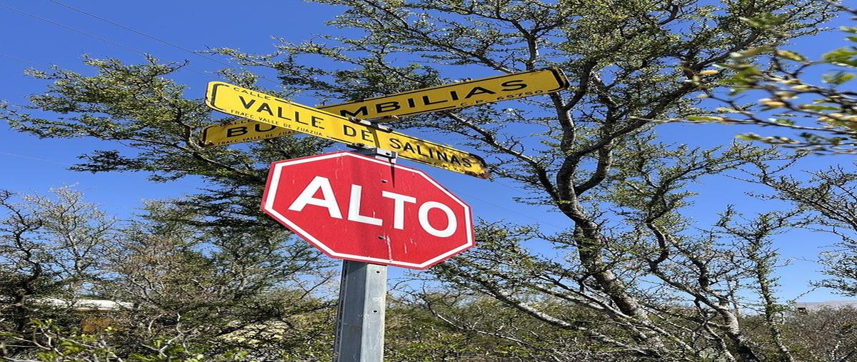 Foto de terreno habitacional en venta en  , valle de ciénega, ciénega de flores, nuevo león, 0 No. 04