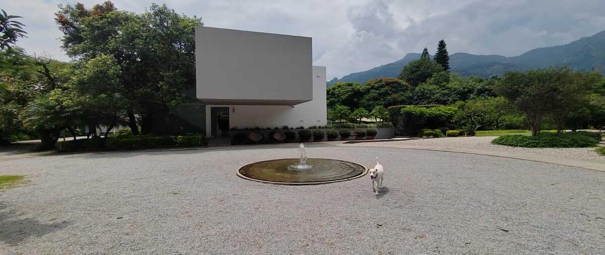 Foto de casa en venta en  , valle de cuernavaca, tepoztlán, morelos, 0 No. 02
