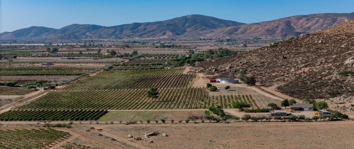 Foto de rancho en venta en valle de guadalupe , el porvenir, ensenada, baja california, 0 No. 01