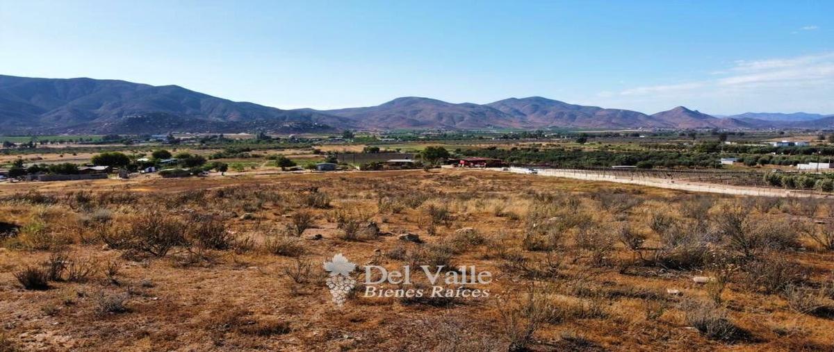 Foto de terreno habitacional en venta en valle de guadalupe, ensenada, baja california , francisco zarco (valle de guadalupe), ensenada, baja california, 25091531 No. 03