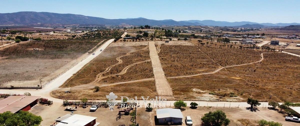 Foto de terreno habitacional en venta en valle de guadalupe, ensenada, baja california , francisco zarco (valle de guadalupe), ensenada, baja california, 25091531 No. 04