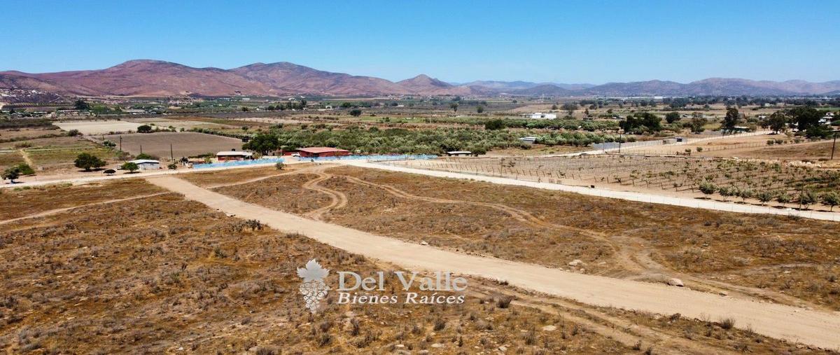 Foto de terreno habitacional en venta en valle de guadalupe, ensenada, baja california , francisco zarco (valle de guadalupe), ensenada, baja california, 25091531 No. 05