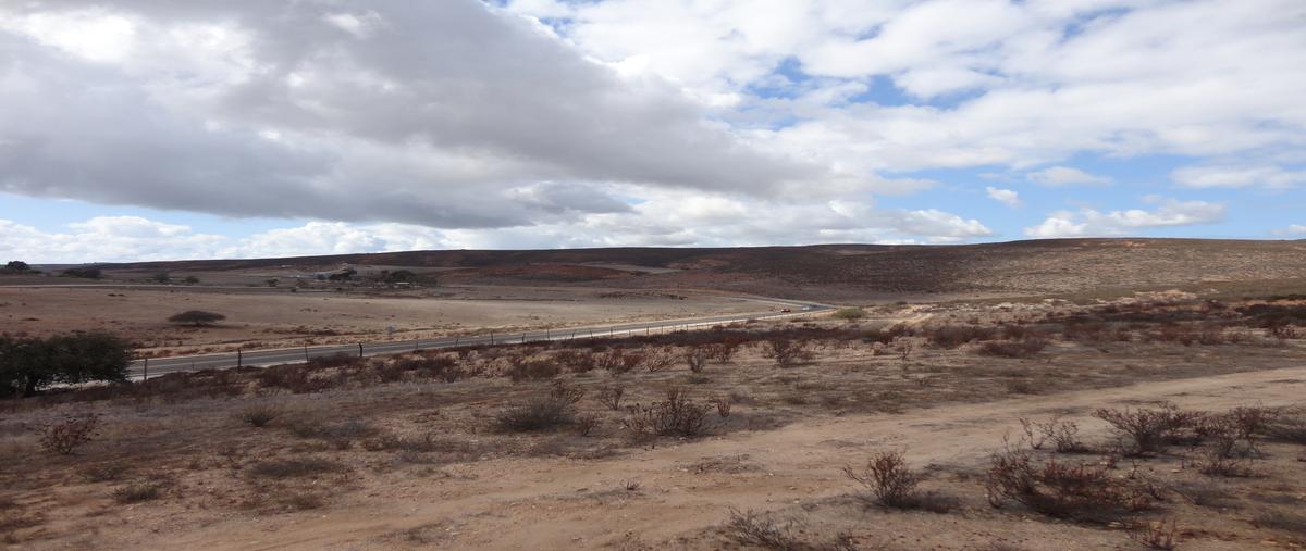 Foto de terreno comercial en venta en valle de guadalupe , francisco zarco (valle de guadalupe), ensenada, baja california, 2645599 No. 04