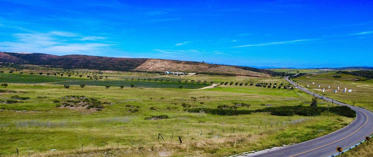Foto de terreno habitacional en valle de guadalupe , francisco zarco (valle de guadalupe), ensenada, baja california, 0 foto 03 Foto de terreno habitacional en venta en valle de guadalupe , francisco zarco (valle de guadalupe), ensenada, baja california, 0 No. 03