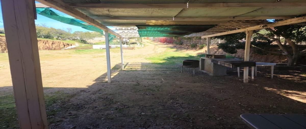 Foto de casa en renta en  , valle de guadalupe, mexicali, baja california, 26069049 No. 05