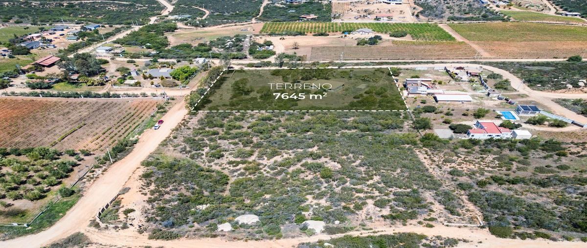 Foto de rancho en venta en valle de guadalupe , san antonio de las minas, ensenada, baja california, 29897844 No. 02
