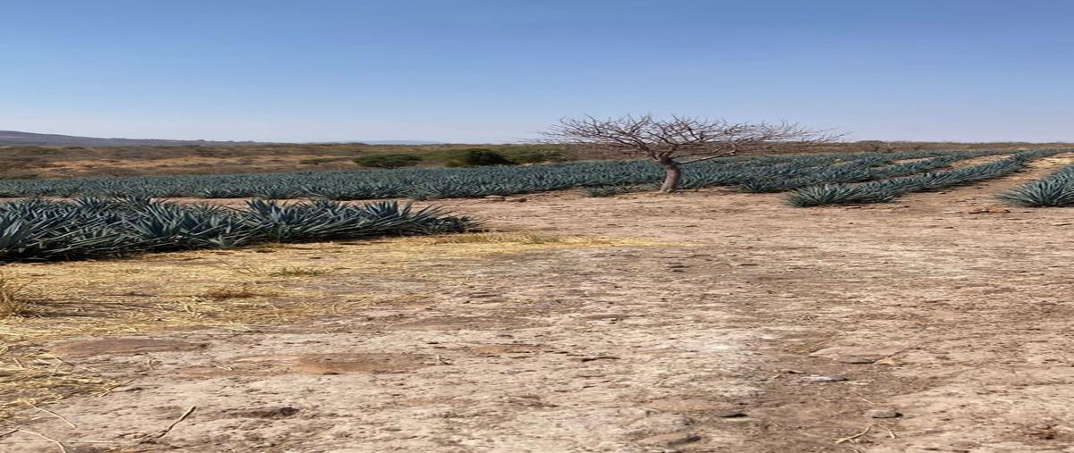 Foto de terreno habitacional en , valle de guadalupe, valle de guadalupe, jalisco, 26176962 foto 02 Foto de terreno habitacional en venta en , valle de guadalupe, valle de guadalupe, jalisco, 26176962 No. 02