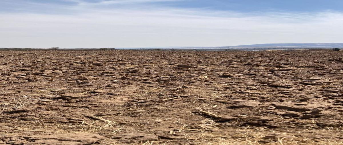 Foto de terreno habitacional en , valle de guadalupe, valle de guadalupe, jalisco, 26176962 foto 03 Foto de terreno habitacional en venta en , valle de guadalupe, valle de guadalupe, jalisco, 26176962 No. 03