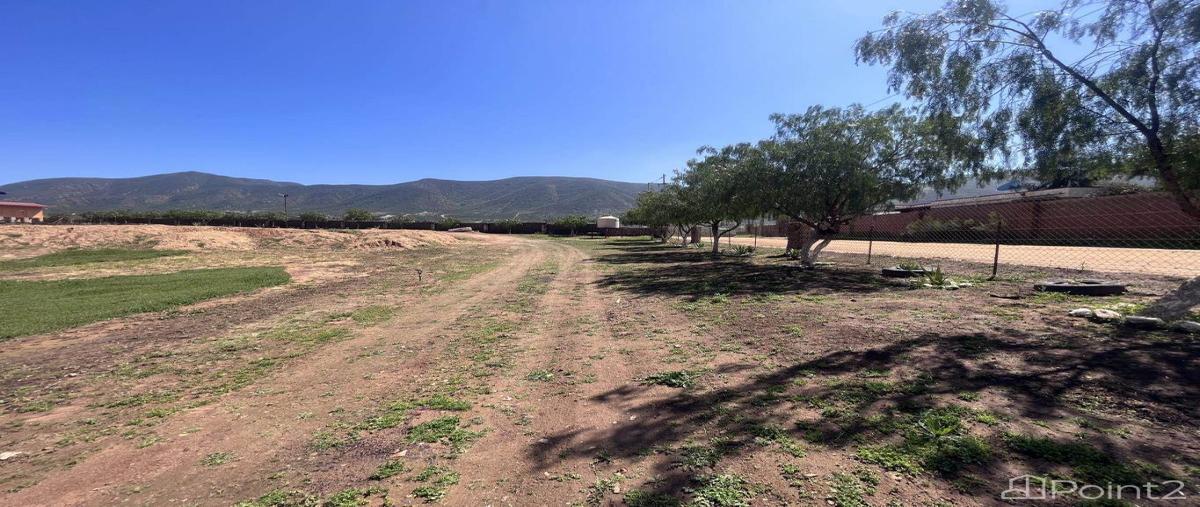 Foto de terreno habitacional en renta en valle de guadalupe , villa de juárez (san antonio de las minas), ensenada, baja california, 27647439 No. 05