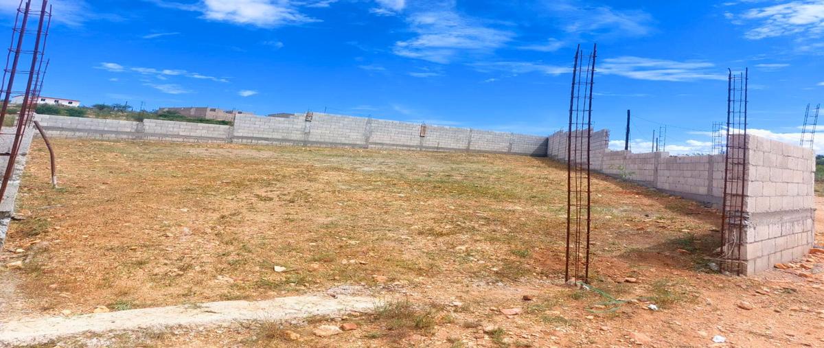 Foto de terreno habitacional en venta en  , valle de ignacio allende centro, allende, chihuahua, 0 No. 03