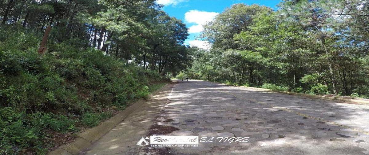 Foto de terreno habitacional en venta en  , valle de juárez, valle de juárez, jalisco, 26109849 No. 04