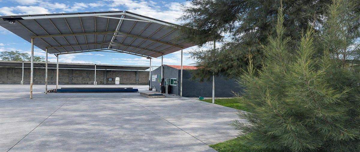 Foto de bodega en renta en valle de la misericordia , valle de la misericordia, san pedro tlaquepaque, jalisco, 31101476 No. 03