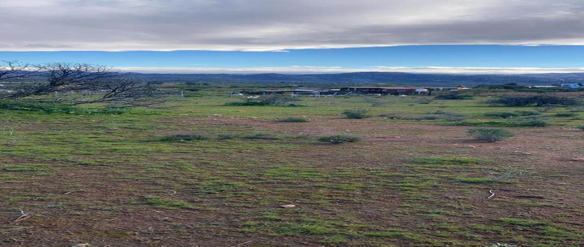Foto de terreno habitacional en venta en  , valle de las palmas, tecate, baja california, 0 No. 04