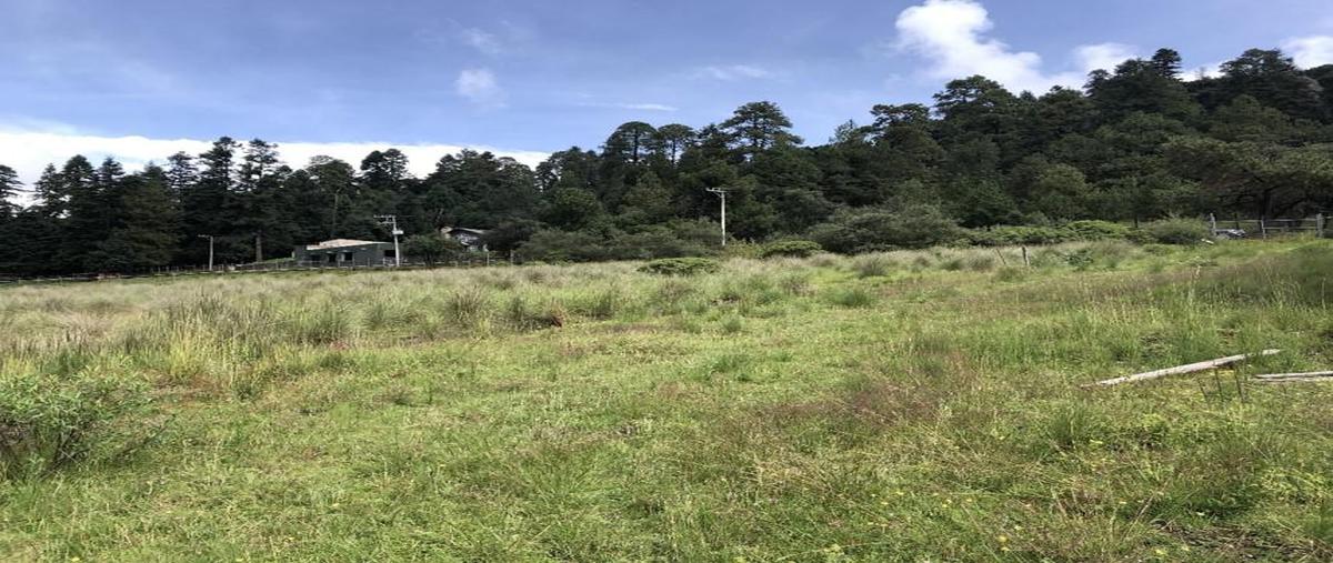 Foto de terreno habitacional en venta en  , valle de lerma, lerma, méxico, 25528038 No. 03
