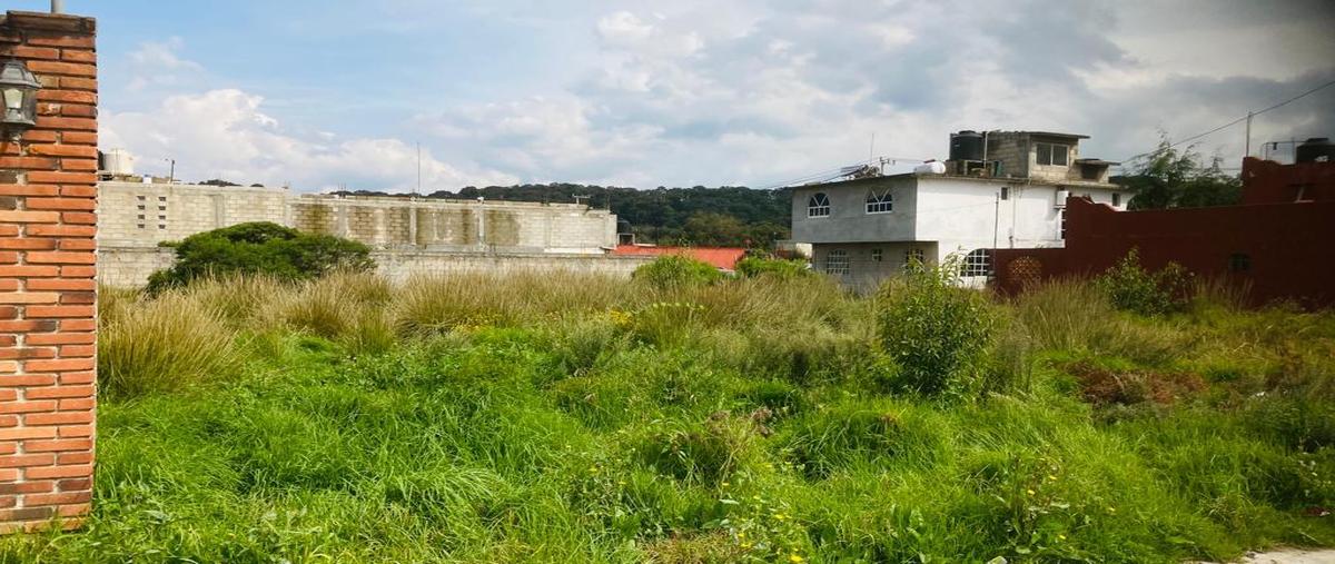 Foto de terreno habitacional en venta en  , valle de lerma, lerma, méxico, 29115049 No. 05