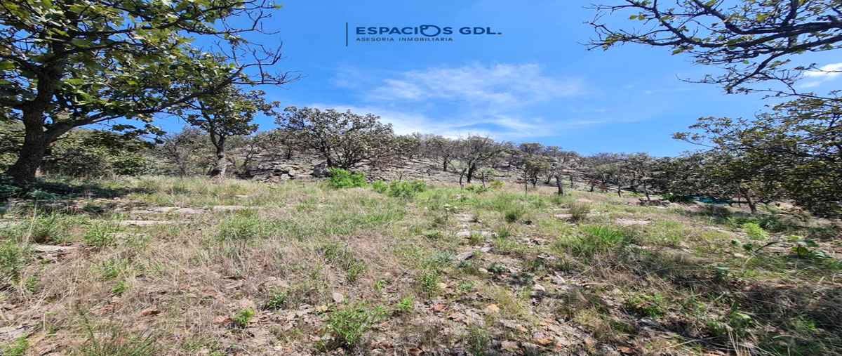 Foto de terreno habitacional en , valle de los molinos, zapopan, jalisco, 28459568 foto 05 Foto de terreno habitacional en venta en , valle de los molinos, zapopan, jalisco, 28459568 No. 05